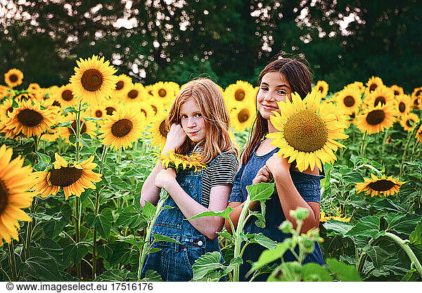 Two happy tween girls in a sunflower field.