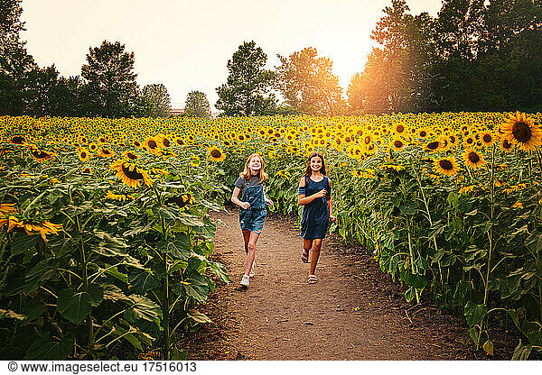 Two happy tween girls running in a sunflower field.