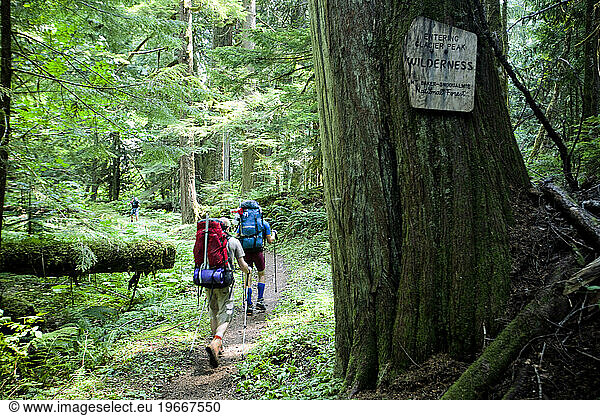 Two hikers walk along a trail entering a wilderness area.