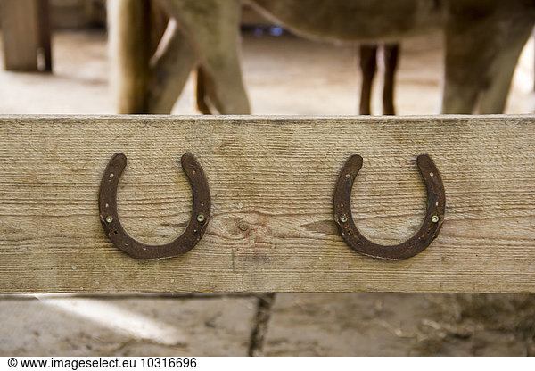 Two horseshoes on wooden bar