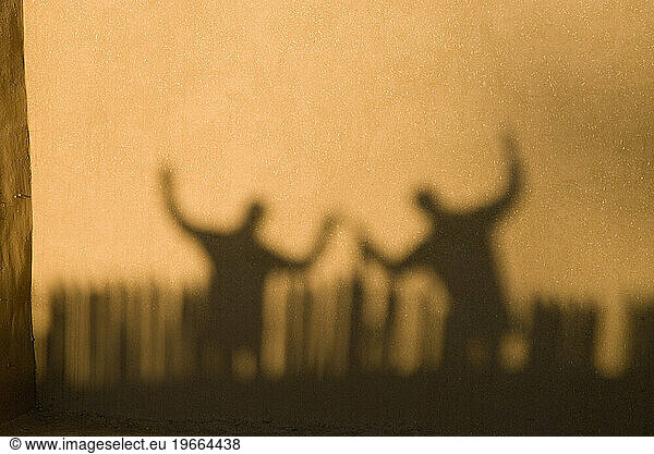 Two human silhouettes on an adobe wall in Taos  New Mexico.