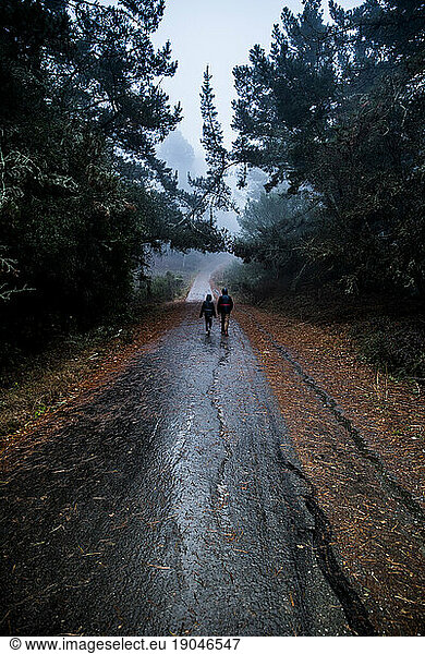 Two kids walking away from camera down rainy nature path