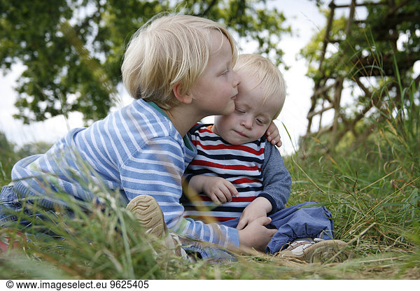 Two little brothers on a meadow