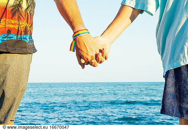 Two men in love holding hands on the beach. Stock photo.