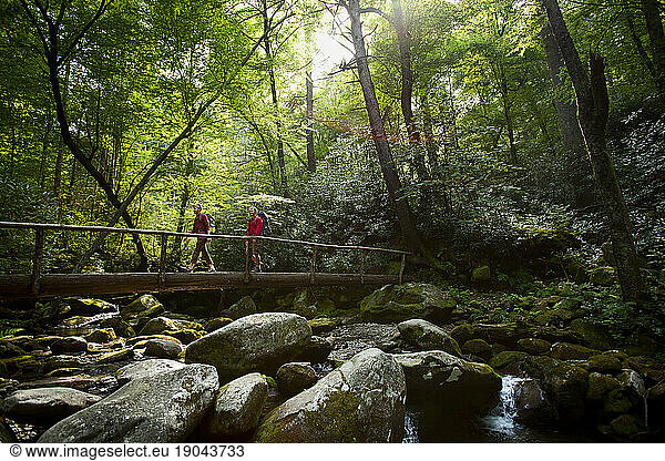 Two men walk on bridge in forest