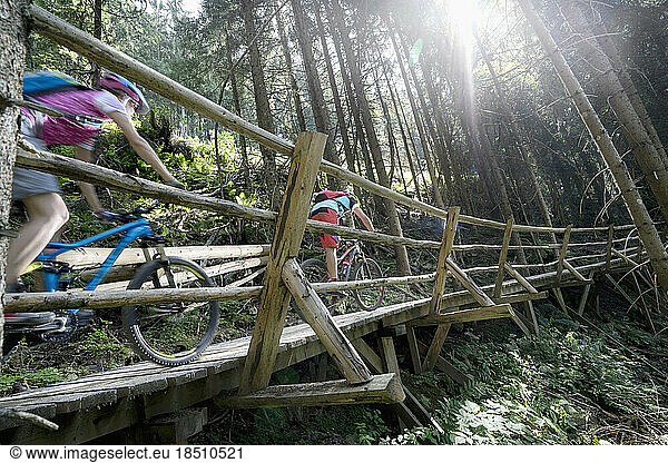 Two mountain bikers riding on footbridge through forest  Zillertal  Tyrol  Austria