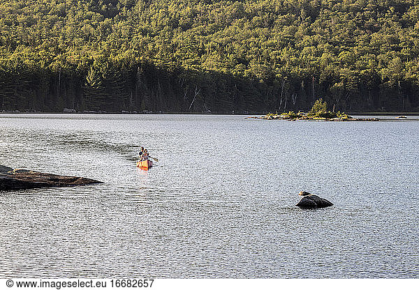 Two people paddle canoe across rocky Bald Mountain Pond in Maine