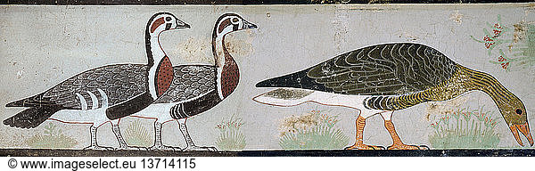 Two red breasted geese and a bean goose feeding  Part of a tomb painting from the mastaba of Nefermaat at Meidum. Egypt. Ancient Egyptian. Old Kingdom late 3rd/early 4th. c 2680 2500BC. Meidum.