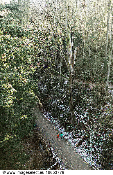 Two runners on forest trail  Seattle  Washington  USA