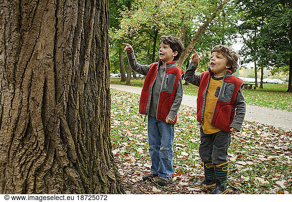 two small boys happily explore nature together outdoors