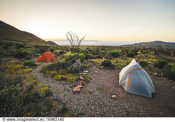 Two tents in the desert during sunrise in Big Bend National Park