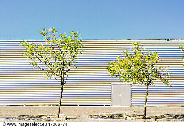 Two trees in front of industrial building