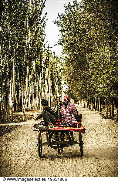 Two Uighurs riding their cart to their apricot orchard.