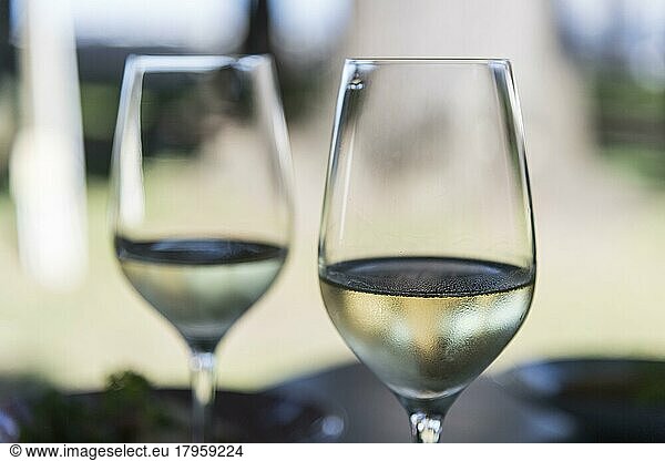 Two wine glasses with cool white wine