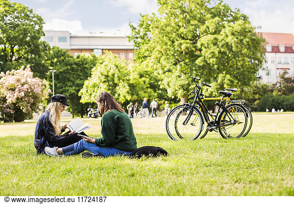 Two young women sitting in park and studying