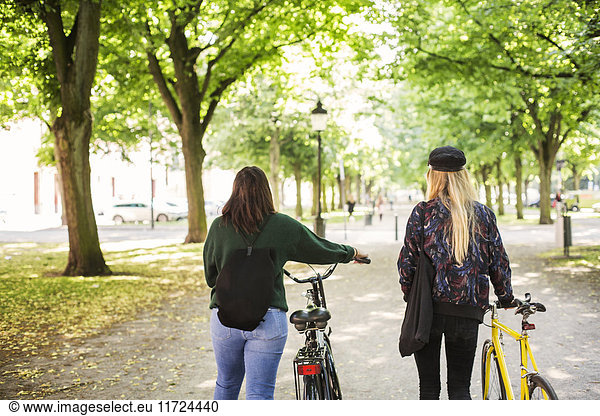Two young women walking in park and pushing bikes