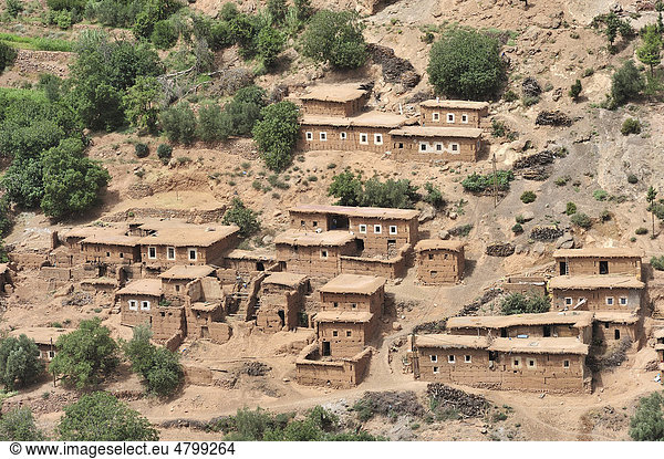 Typische Berbersiedlung mit traditionellen Lehmhäusern in den Bergen des Hohen Atlas  Hoher Atlas  Marokko  Afrika