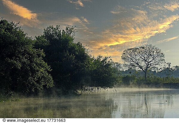 Typische Flusslandschaft bei Sonnenaufgang  Pantanal  Brasilien  Südamerika