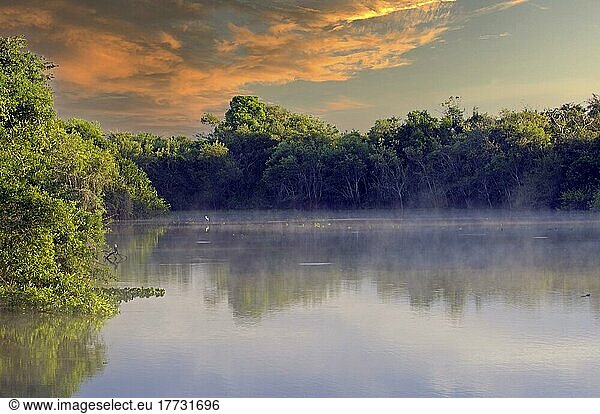 Typische Flusslandschaft bei Sonnenaufgang  Pantanal  Brasilien  Südamerika