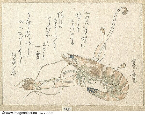 Uematsu Toshu 1810–1830. Print  ca. 1615–1868. Edo period (1615–1868).
Polychrome woodblock print (surimono); ink and color on paper  13 × 17.8 cm.
Inv. Nr. JP2131
New York  Metropolitan Museum of Art.