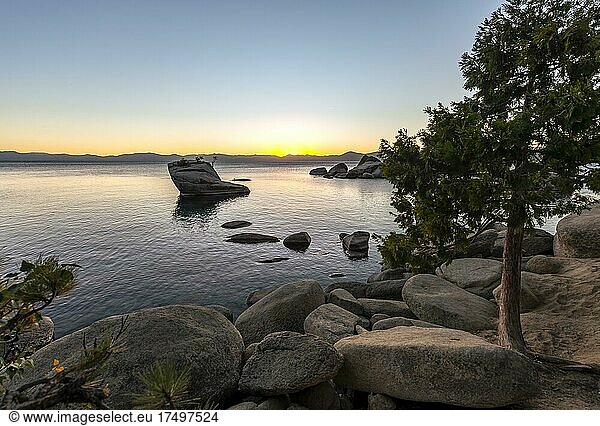 Ufer am See Bonsai Rock kleiner Baum auf einem Fels im Wasser bei Sonnenuntergang See Lake Tahoe Kalifornien USA Nordamerika