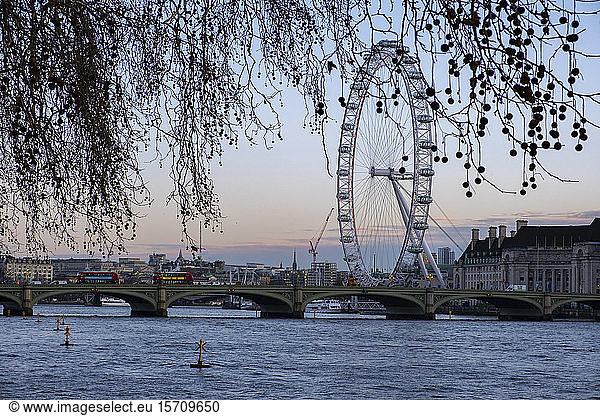 UK  England  London  Westminster Bridge and London Eye at dawn