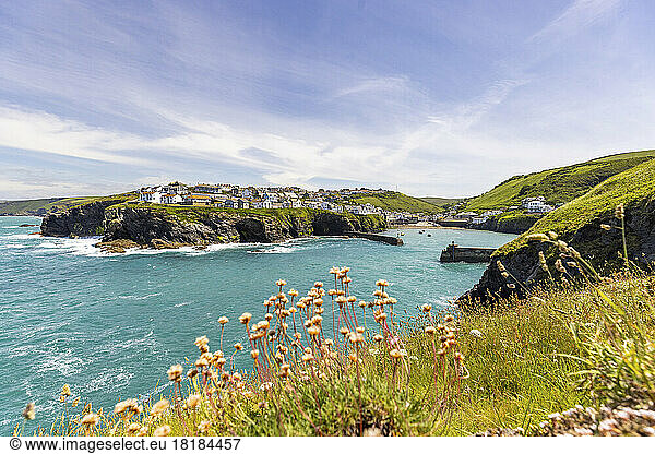UK  England  Port Isaac  View of coastal town in spring
