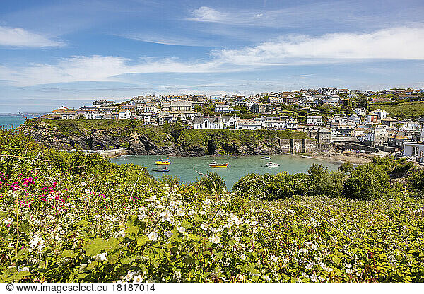 UK  England  Port Isaac  View of coastal town in spring with blooming wildflowers in foreground