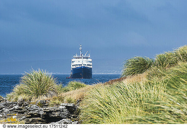 UK  Falkland Islands  Cruise ship arriving at Carcass Island