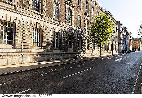 UK  London  Empty road during curfew with tree in Bloomsbury neighbourhood