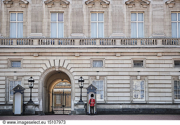 UK  London  Guard standing out of Buckingham Palace