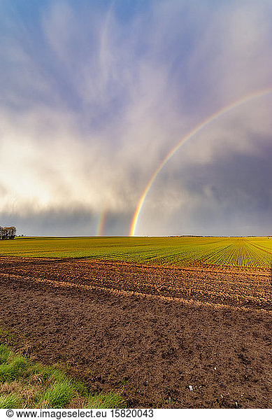 UK  Scotland  Double rainbow over agricultural field