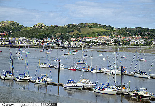 UK  Wales  Marina in the bay of Conwy