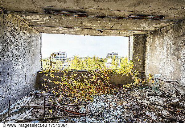 Ukraine  Kyiv Oblast  Pripyat  Interior of long abandoned building with completely broken out windows