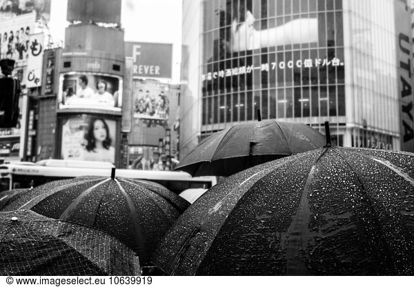 Umbrellas in rain by Shibuya crossing  Japan