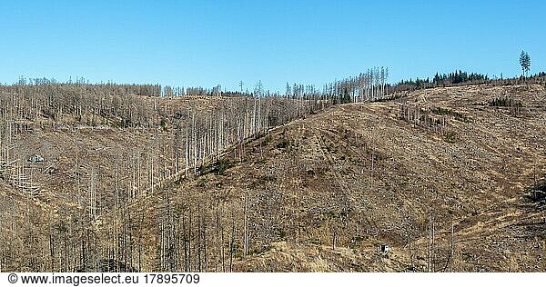 Umweltzerstörung Klimakrise Klimawandel Klima Umwelt Zerstörung Panorama Landschaft Natur Wald Waldsterben am Brocken im Harz  Deutschland  Europa