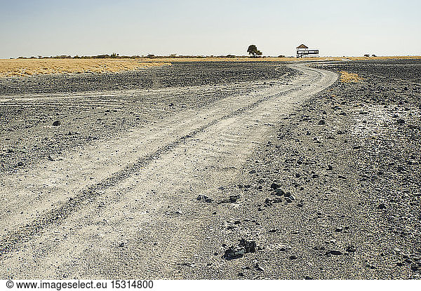 Unbefestigte Straße  Makgadikgadi-Pfannen  Botswana