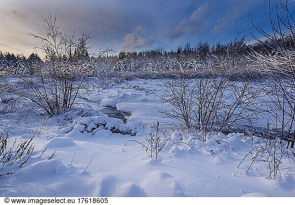 Unberührte Schneelandschaft in den Laurentides; Quebec  Kanada