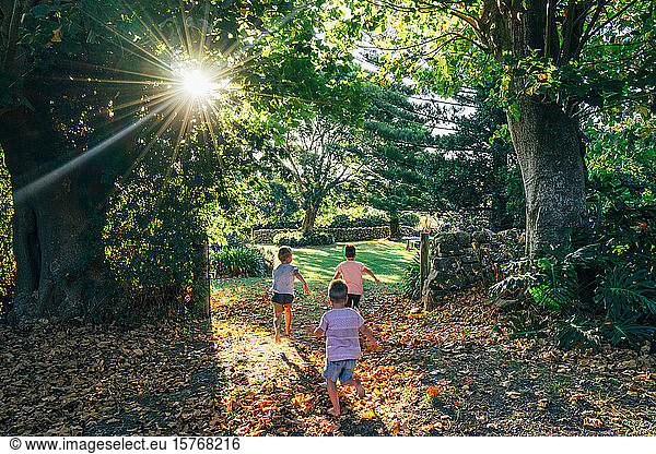 Unbeschwerte Jungen laufen im sonnigen  idyllischen Herbstpark
