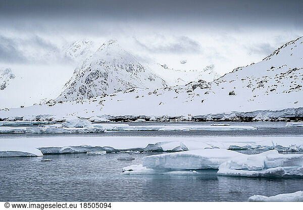 under a cloudy sky with snowy mountains and a sea with ice floes