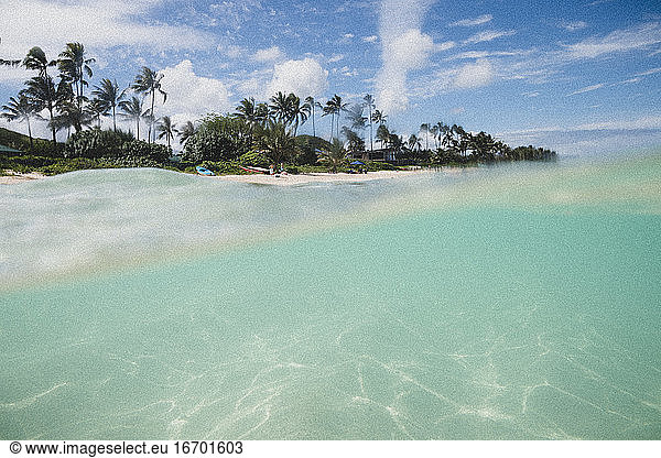 Under over ocean photo in Hawaii
