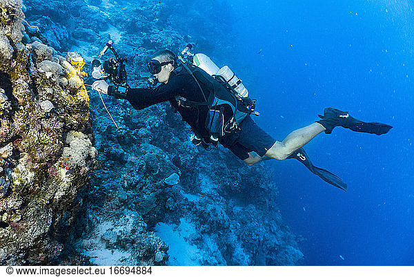 underwater photographer at the great Barrier Reef