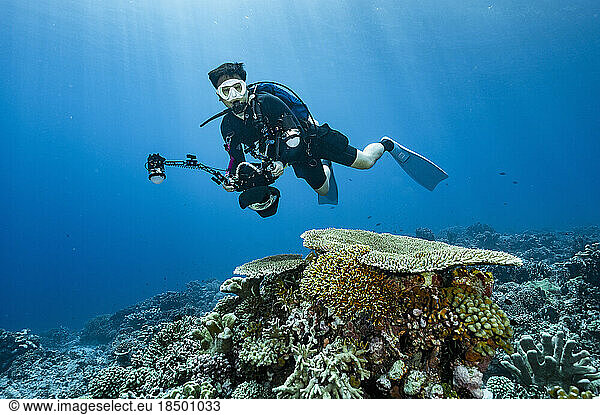 underwater photographer exploring a reef at Banda Sea / Indonesia