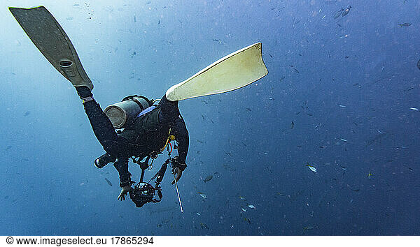 underwater photographer exploring the tropical waters around Koh Tao