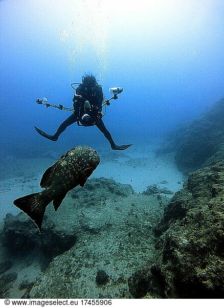 Underwater photographer take a picture of Grouper fish Antalya Kas