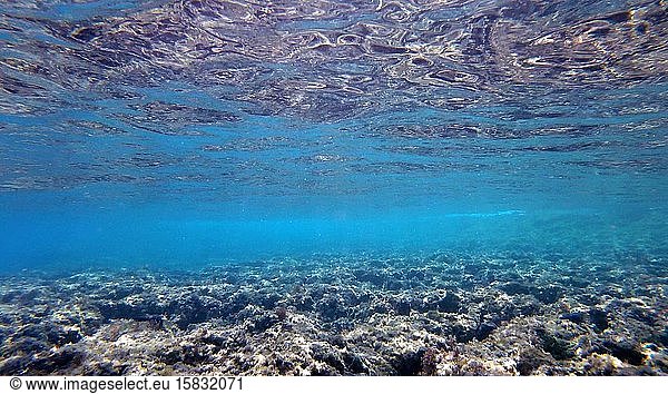 Underwater seascape showing rocky seabed water surface from below