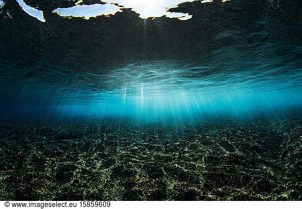 Underwater shot of coral reef with sun rays
