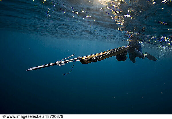 Underwater view of a woman swimming with a speargun  as the tip heads right past the camera in Costa Rica.