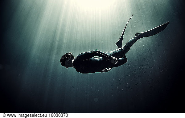 Underwater view of diver wearing wet suit and flippers  sunlight filtering through from above.