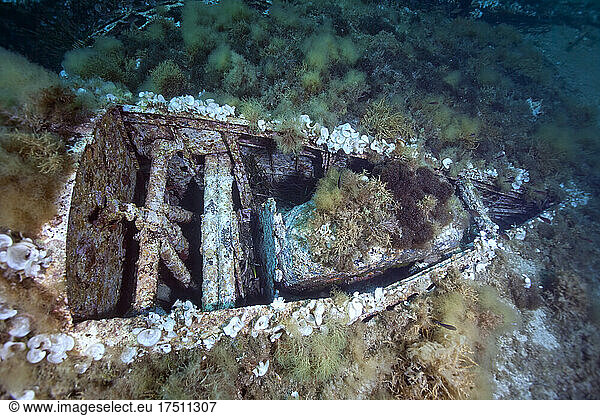 Underwater view of sunken airplane wreck